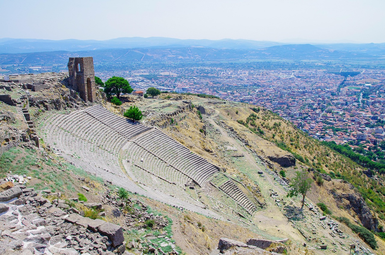 Private driver support to Pergamon (your vehicle)